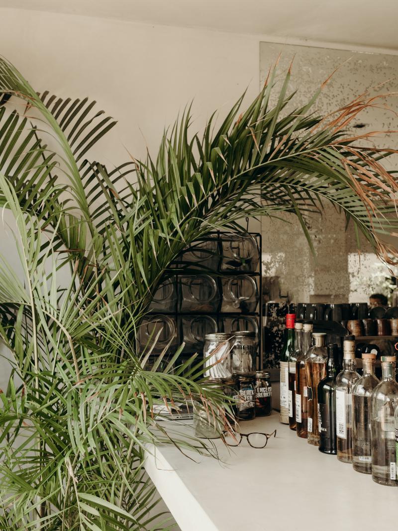 Hotel Casa Pueblo Tulum Exteriér fotografie